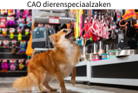 dierenspeciaalzaken DiBeVo 